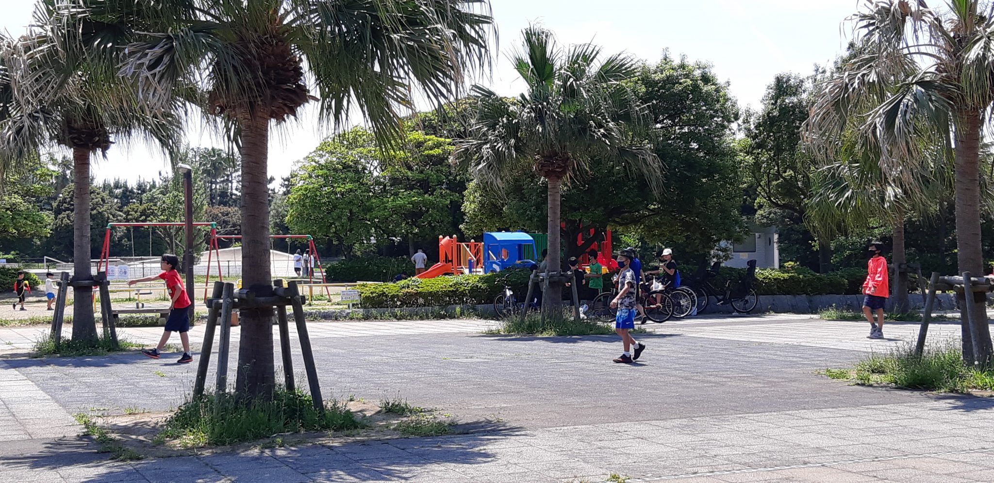 県民の日浦安市運動公園 屋内プール 浦安市立富岡小PTA 県民の日浦安市運動公園 屋内プール 浦安市立富岡小PTA